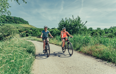 Radfahrer am Württemberger Weinradweg im Leintal | © Touristikgemeinschaft HeilbronnerLand e.V.