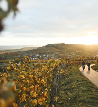 KR1 Heuchelberg-Runde | © Tourimia Tourismus GmbH | Stefan Leitner Photography