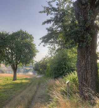 Eppingen Streuobstlehrpfad Richen web | HeilbronnerLand