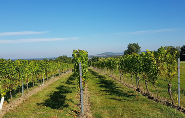 Kraichgau-Stromberg: 3-Bäche-Tour | © Land der 1000 Hügel - Kraichgau-Stromberg