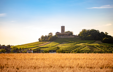 Die Burg Steinsberg im Sinsheimer Ortsteil Weiler | © Sinsheimer Erlebnisregion