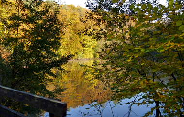 Kraichradweg | © Land der 1000 Hügel - Kraichgau-Stromberg