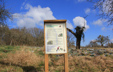 Kultur- und Weinlehrpfad Klosterberg Maulbronn | © Stadt Maulbronn
