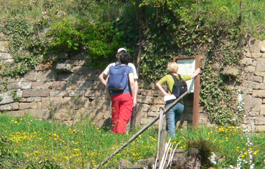 Kultur- und Weinlehrpfad Klosterberg Maulbronn | © Stadtverwaltung Maulbronn