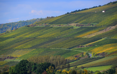 Liebliches Taubertal - Der Klassiker 2. Etappe | © Liebliches Taubertal