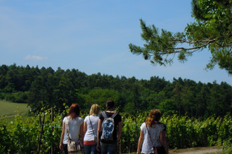 LT 16 Durchs Ursbachtal | © Liebliches Taubertal