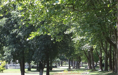 LT 17 Kur und Wein | © Kurverwaltung