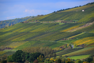 LT 22 - Edelobst und Wein | © Liebliches Taubertal