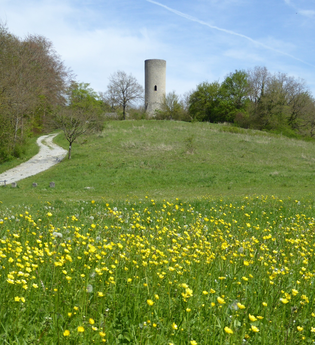LT 26 Zur St. Kunigunde | © Liebliches Taubertal