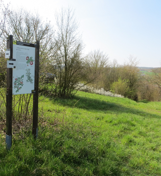 LT 27 Hasennestle und keltisches Oppidum | © Liebliches Taubertal