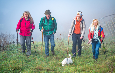 LT 6 Wasser.Wein.Weite. | © Liebliches Taubertal