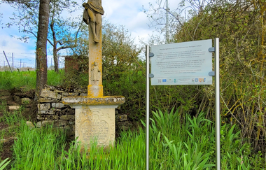 LT 8 - Großrinderfelder Panorama-Tour | © Liebliches Taubertal
