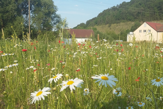 LT 9 Über das hohe Bild zur Schutzengelkapelle | © Liebliches Taubertal