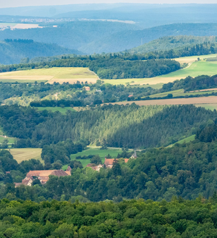 LT-M1 - Auf den Spuren der Zisterzienser | © Liebliches Taubertal