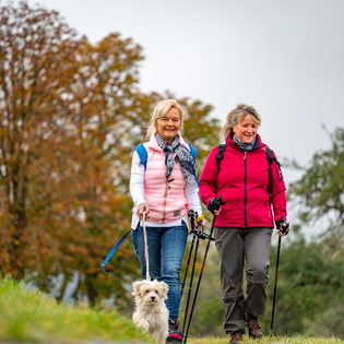 LT-M6 - Bildstockwanderweg 1 | © Liebliches Taubertal