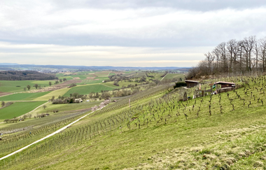 Mandelblüten Gravel-Tour Kraichgau-Stromberg | © Land der 1000 Hügel - Kraichgau-Stromberg