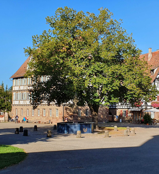 MB2 - Kultur, Natur & Eppinger Linien - Wander3Klang mittlere Runde | © Stadt Maulbronn