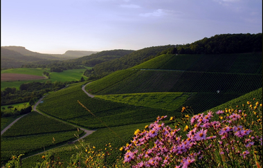 Metterradweg | © Naturpark Stromberg-Heuchelberg