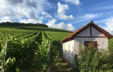 Metterradweg | © Land der 1000 Hügel - Kraichgau-Stromberg