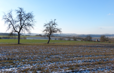 Milchsäules-Rundweg | © Land der 1000 Hügel - Kraichgau-Stromberg