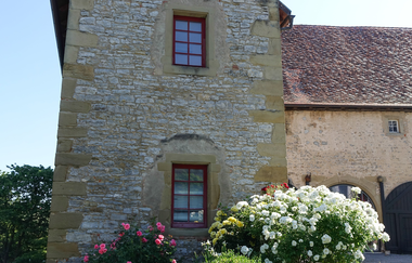N2 Von der Neckarburg zum Liebensteiner Schlossberg | © Neckar-Zaber-Tourismus e.V.