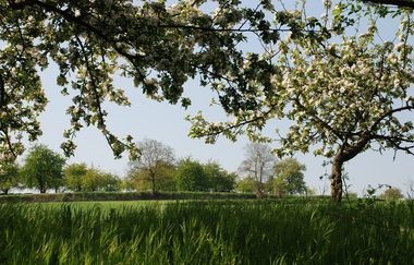 Natur-Erlebnis-Pfad auf dem Kraichradweg | © Land der 1000 Hügel - Kraichgau-Stromberg