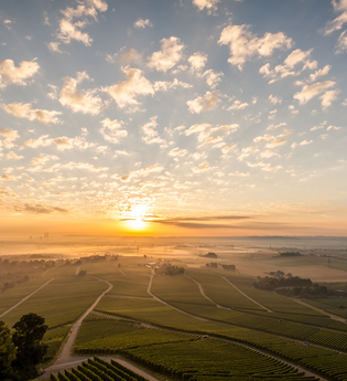 Naturpark Stromberg-Heuchelberg Gravel-Crossing | © Land der 1000 Hügel - Kraichgau-Stromberg