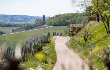 Naturpark Stromberg-Heuchelberg Gravel-Crossing | © Land der 1000 Hügel - Kraichgau-Stromberg