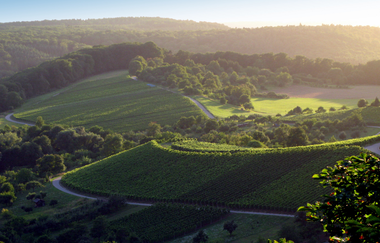 Naturpark Tour 3 - Schlossberg Tour - Mit dem Gravelbike im Kraichgau-Stromberg | © Naturpark Stromberg-Heuchelberg