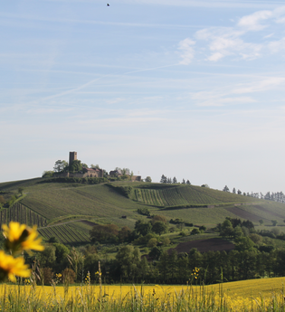 Naturpark Tour 4 - Ehmetsklinge Tour - Mit dem Gravelbike im Kraichgau-Stromberg | © Naturpark Stromberg-Heuchelberg