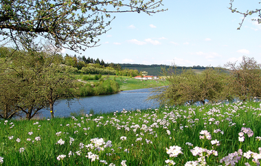Naturpark Tour 4 - Ehmetsklinge Tour - Mit dem Gravelbike im Kraichgau-Stromberg | © Naturpark Stromberg-Heuchelberg