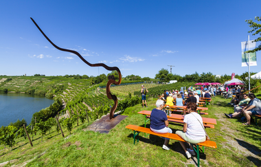 Neckarschleifen-Steillagenrunden: Kapellenbergrunde Kirchheim | © Land der 1000 Hügel - Kraichgau-Stromberg