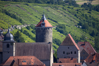 Neckarschleifen-Steillagenrunden: Panoramarunde Niedernberg | © Achim Mende