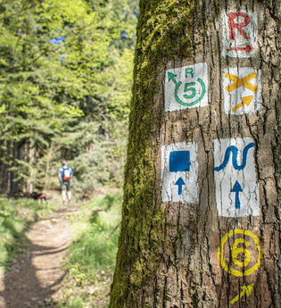 Wanderung auf dem Neckarsteig / Odenwald | © Touristikgemeinschaft Odenwald e.V.