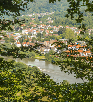 Neckarsteig bei Neckargemünd / Odenwald | © Touristikgemeinschaft Odenwald e.V.