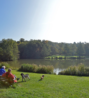 Ö3 - Östringer Wald & Hügel Rundwanderweg | © Jens Neckermann