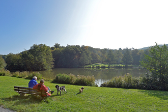 Ö3 - Östringer Wald & Hügel Rundwanderweg | © Jens Neckermann