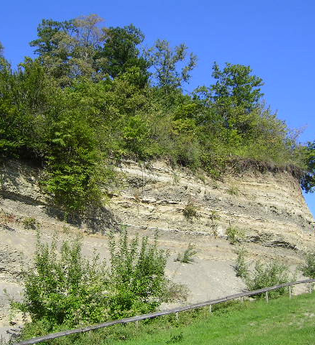 OD1 - Amthof Tour | © Gemeinde Oberderdingen