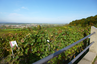OD2 - Derdinger Horn Tour | © Gemeinde Oberderdingen