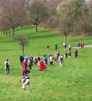 ÖkoRegio Tour Kraichgau | © Land der 1000 Hügel - Kraichgau-Stromberg