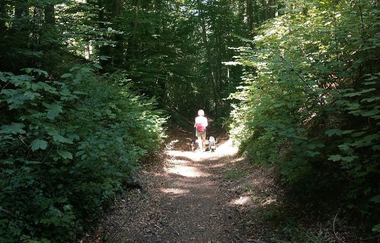 ÖkoRegio Tour Streuobst und Fernblick NaBu Kraichtal-Bahnbrücken (Kurzroute) | © Land der 1000 Hügel - Kraichgau-Stromberg