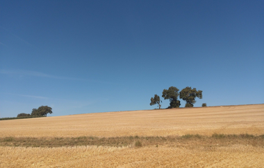 ÖkoRegio Tour Streuobst und Fernblick NaBu Kraichtal-Bahnbrücken (Kurzroute) | © Land der 1000 Hügel - Kraichgau-Stromberg