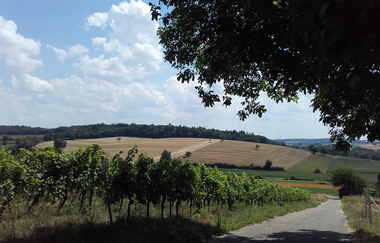 Panoramaweg Kraichbachtal Kraichtal IVV - Besenhex (Langroute) | © Stadtmarketing Kraichtal