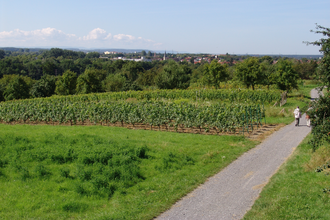 Panoramaweg Mingolsheim | © Land der 1000 Hügel - Kraichgau-Stromberg