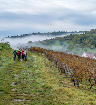 Panoramaweg Taubertal  2. Etappe | © Liebliches Taubertal
