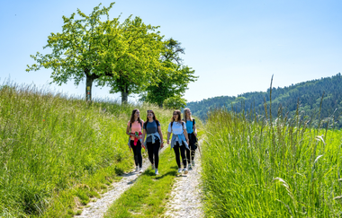 Panoramaweg Taubertal  3. Etappe | © Liebliches Taubertal