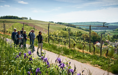 Panoramaweg Taubertal  4. Etappe | © Liebliches Taubertal