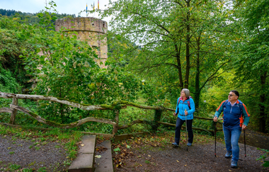 Panoramaweg Taubertal  9. Etappe | © Liebliches Taubertal