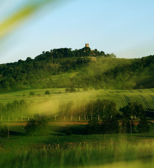 Grüne Wiesen mit der Burg Steinsberg im Hintergrund | © Stadt Sinsheim