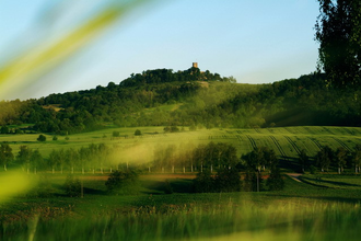 Grüne Wiesen mit der Burg Steinsberg im Hintergrund | © Stadt Sinsheim